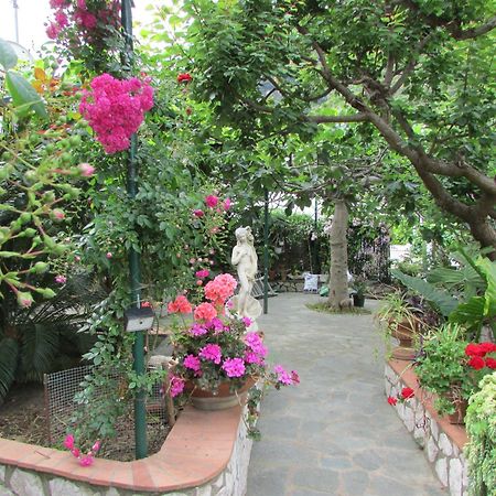 B&B Palazzo A Mare Capri Dış mekan fotoğraf