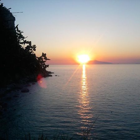 B&B Palazzo A Mare Capri Dış mekan fotoğraf