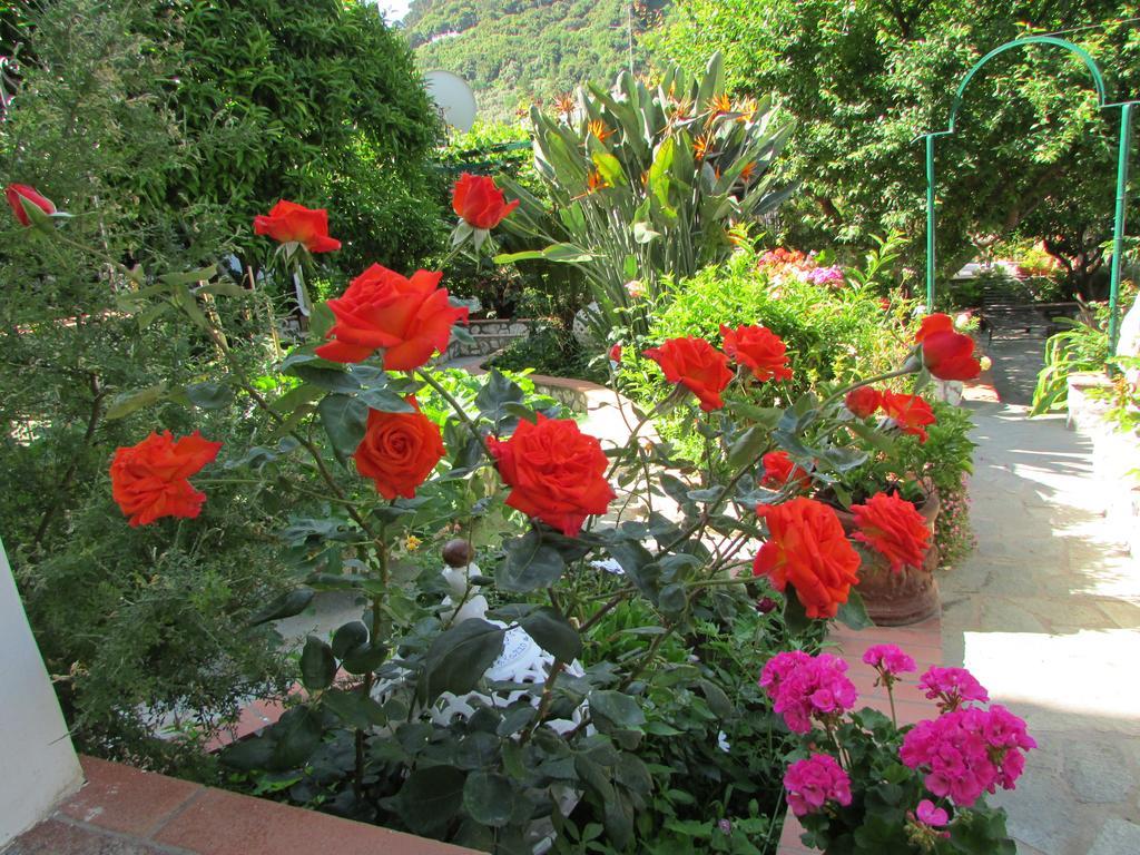 B&B Palazzo A Mare Capri Dış mekan fotoğraf