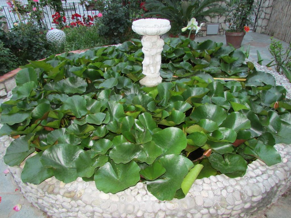 B&B Palazzo A Mare Capri Dış mekan fotoğraf