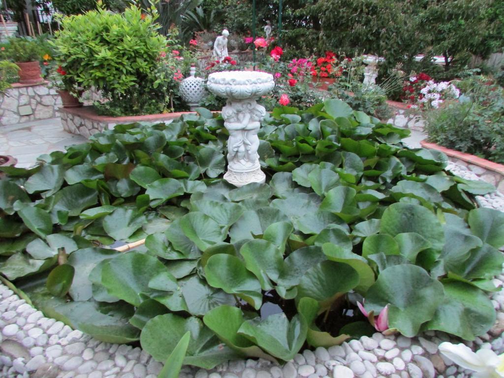 B&B Palazzo A Mare Capri Dış mekan fotoğraf