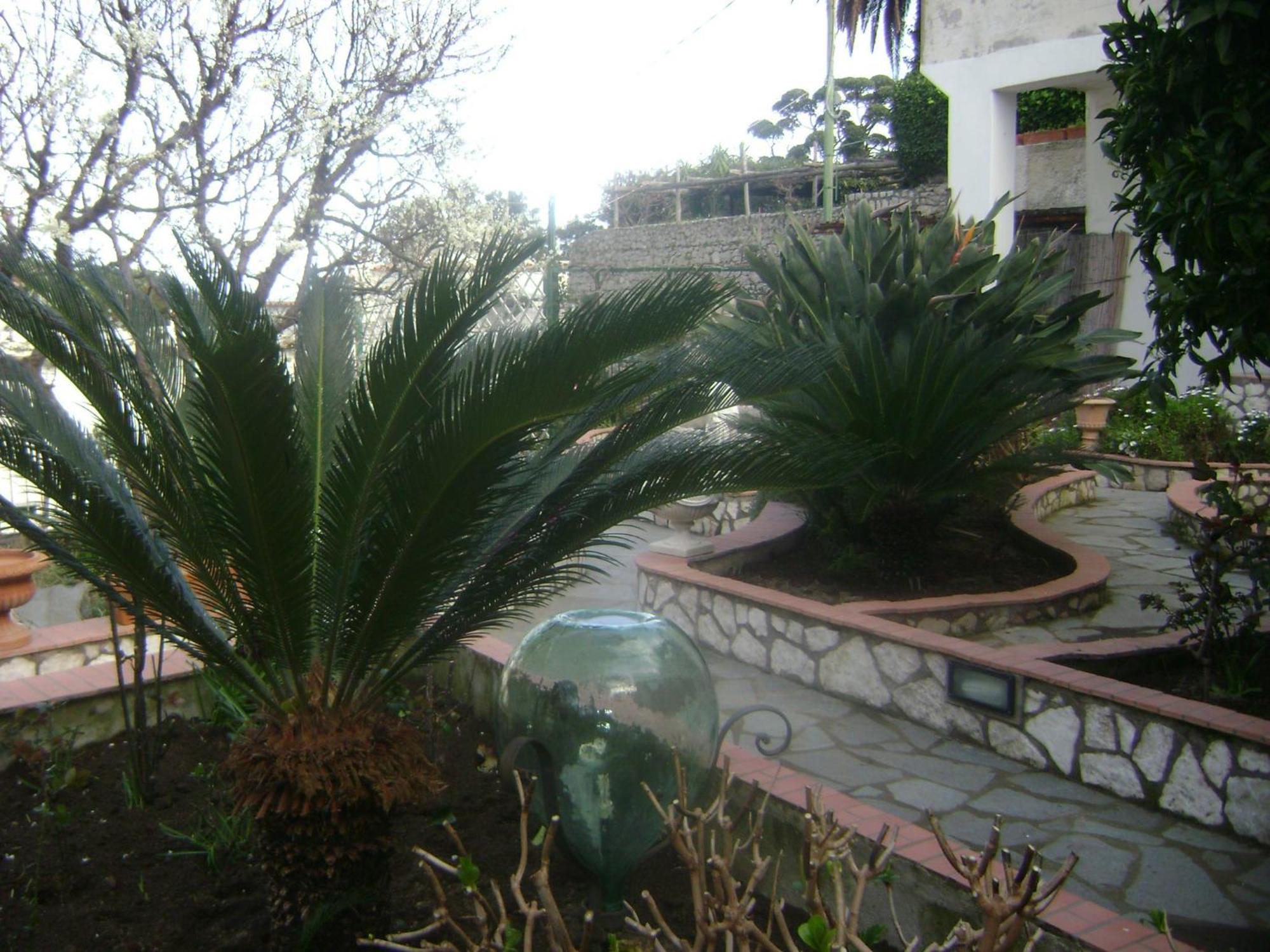 B&B Palazzo A Mare Capri Dış mekan fotoğraf