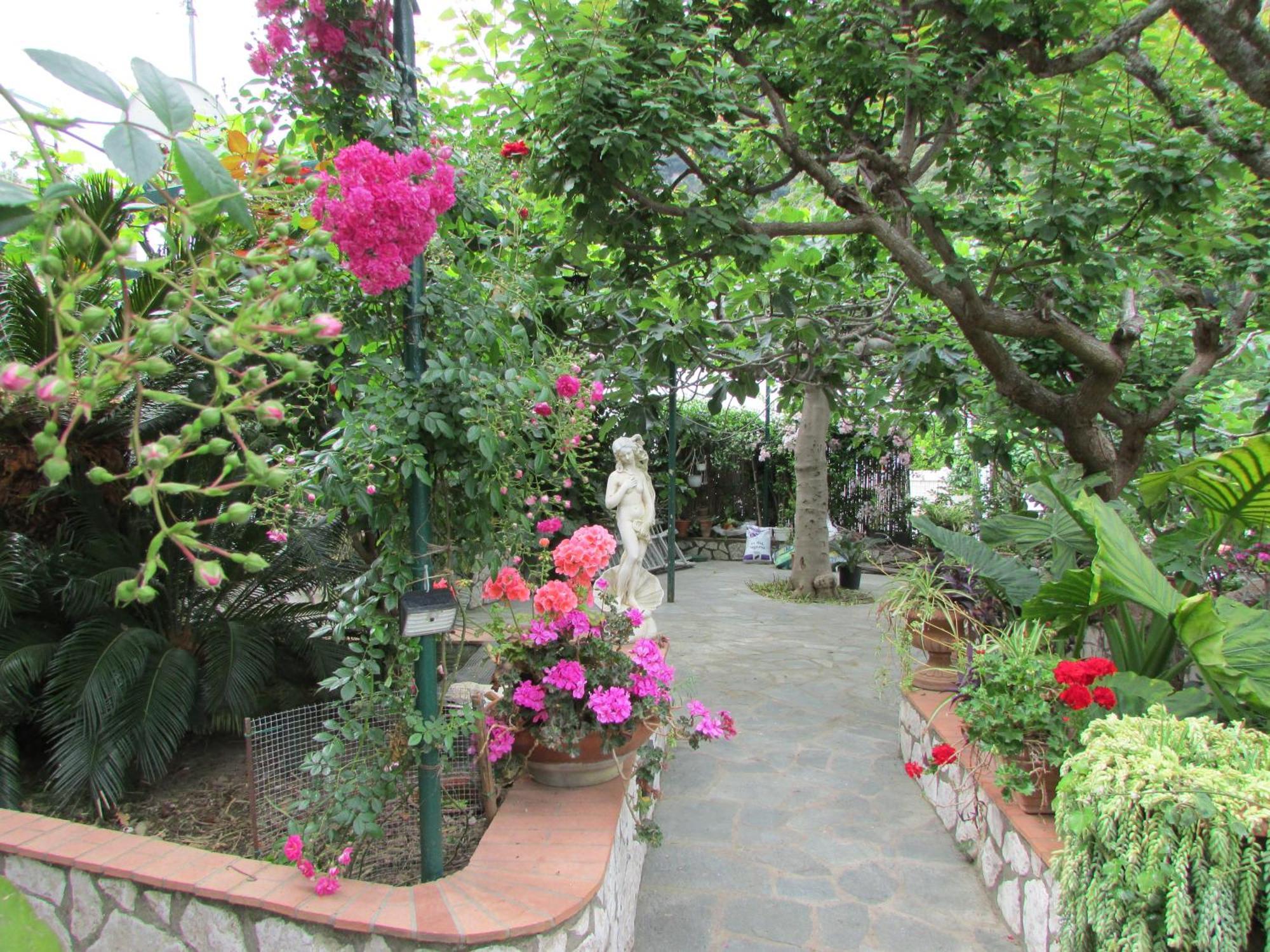 B&B Palazzo A Mare Capri Dış mekan fotoğraf