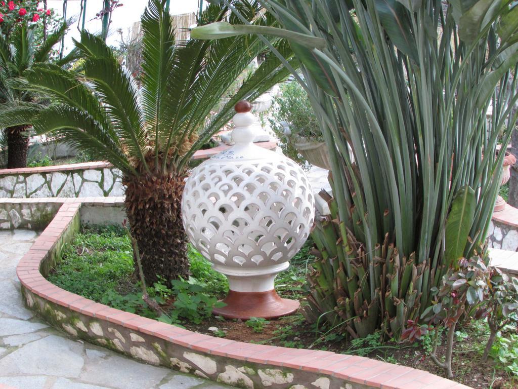 B&B Palazzo A Mare Capri Dış mekan fotoğraf