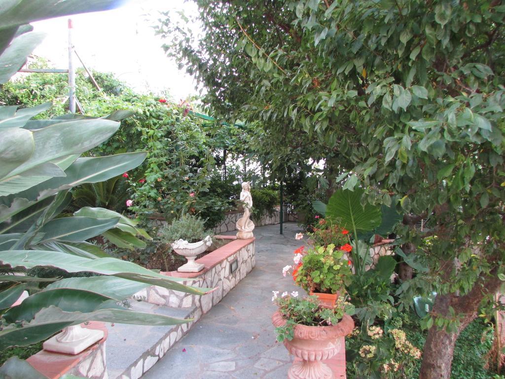 B&B Palazzo A Mare Capri Dış mekan fotoğraf