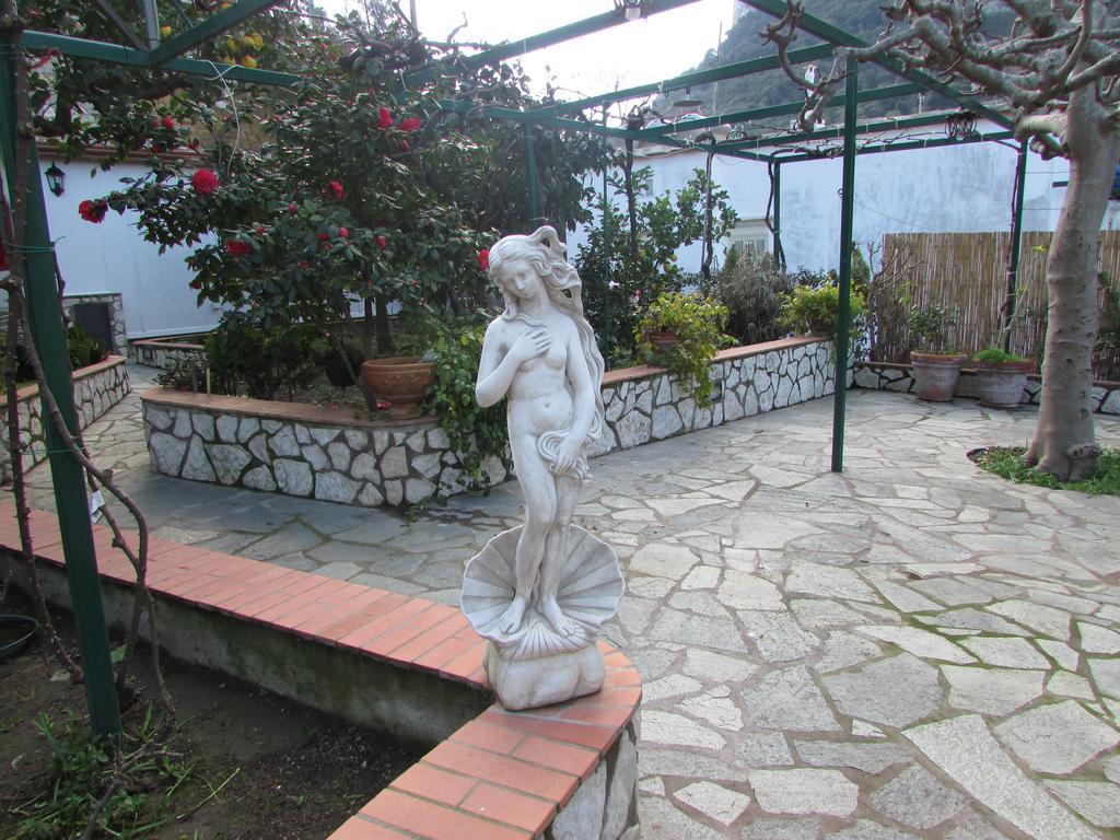B&B Palazzo A Mare Capri Dış mekan fotoğraf