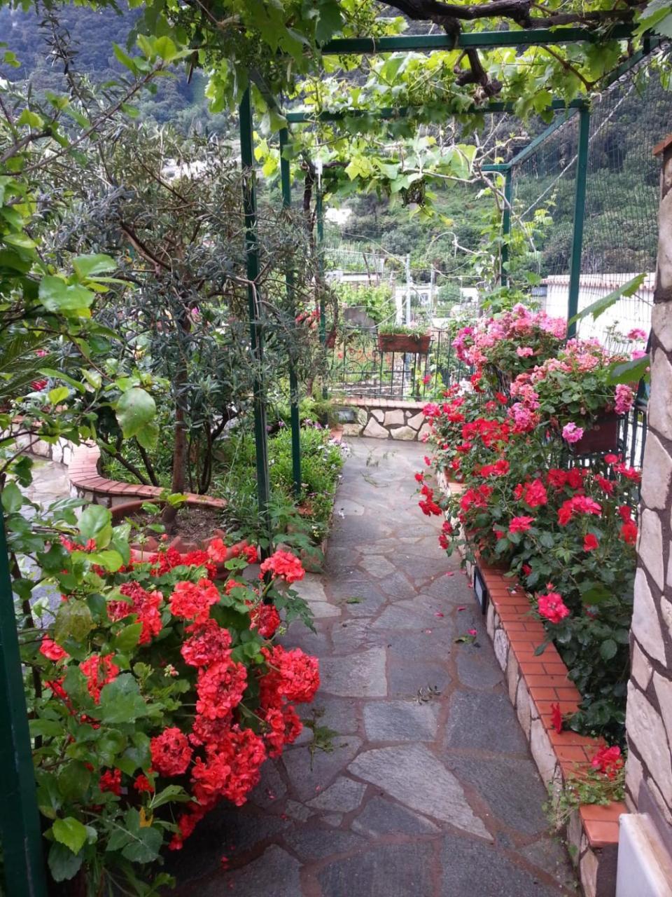 B&B Palazzo A Mare Capri Dış mekan fotoğraf