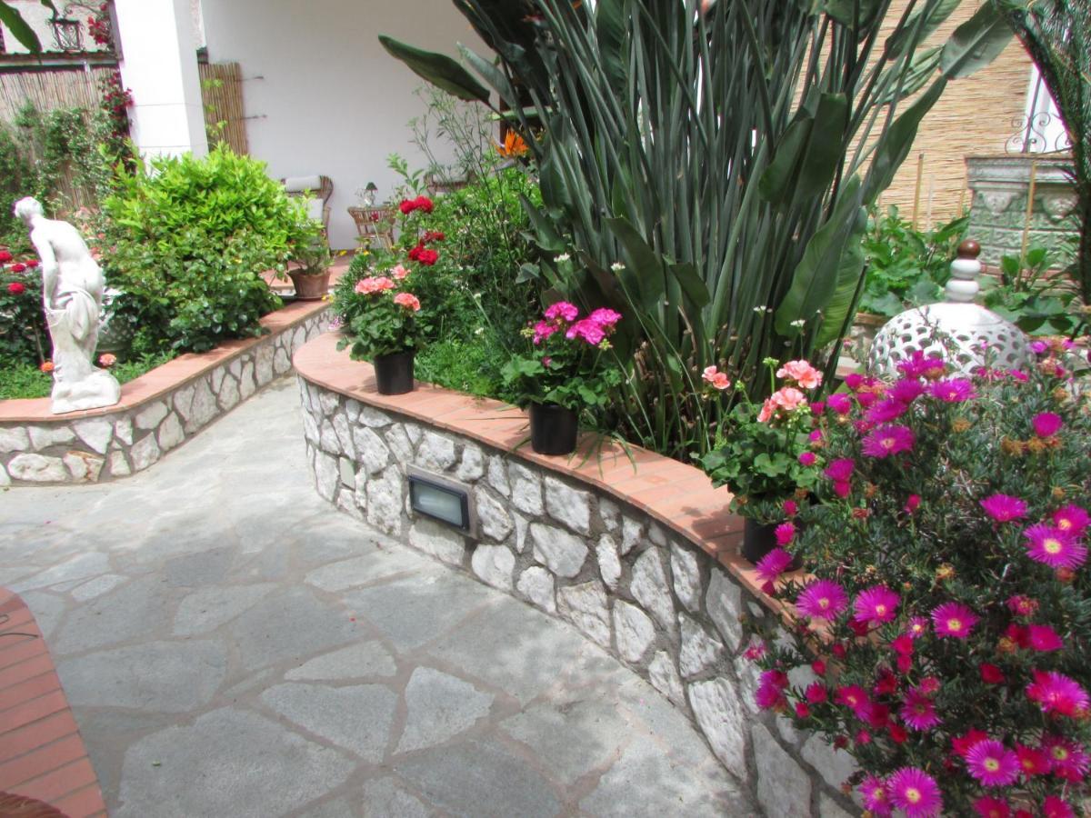 B&B Palazzo A Mare Capri Dış mekan fotoğraf