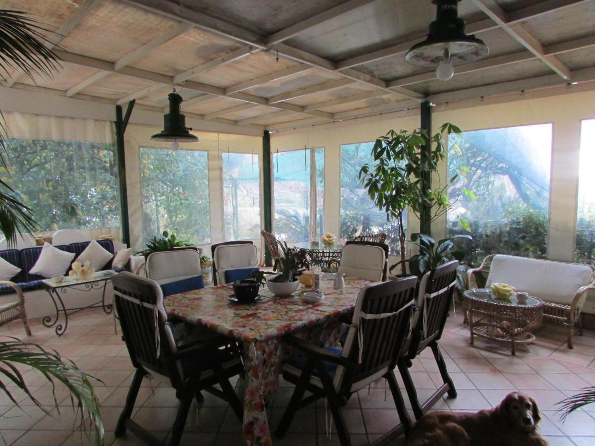 B&B Palazzo A Mare Capri Dış mekan fotoğraf